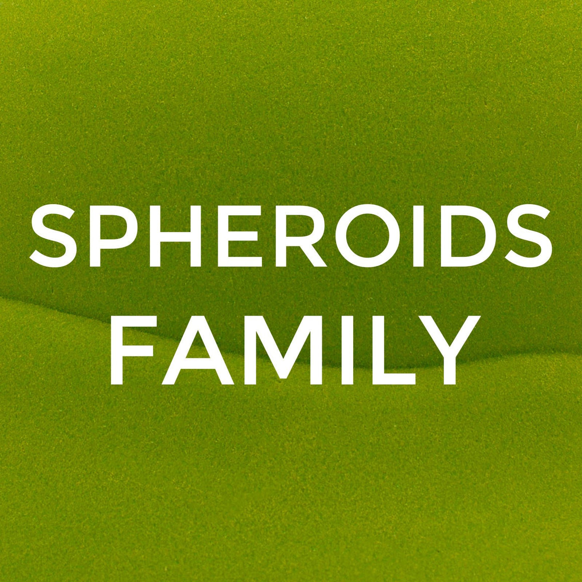 Spheroids Family - White 12-01 - So iLL - So iLL